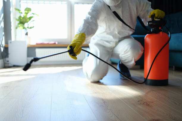 Reliable Odor Removal contractor in Springfield, GA by Trauma Clean Pros